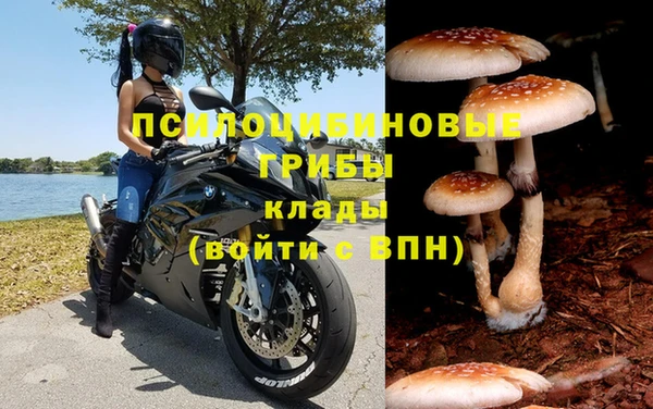 мескалин Алексин